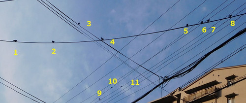 Dscn0913_2
