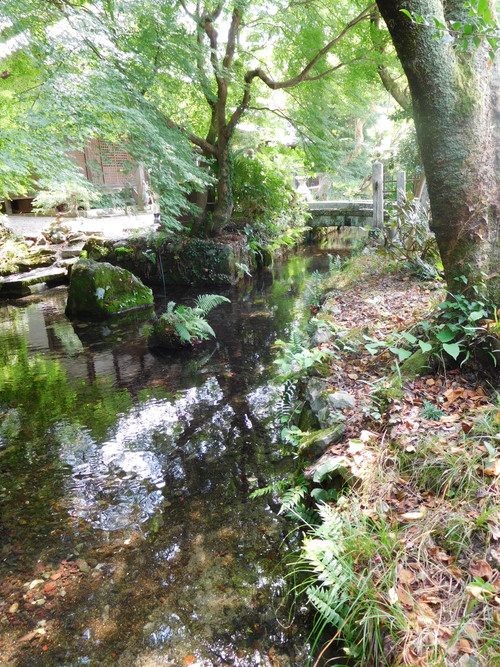 Dscn1057_2