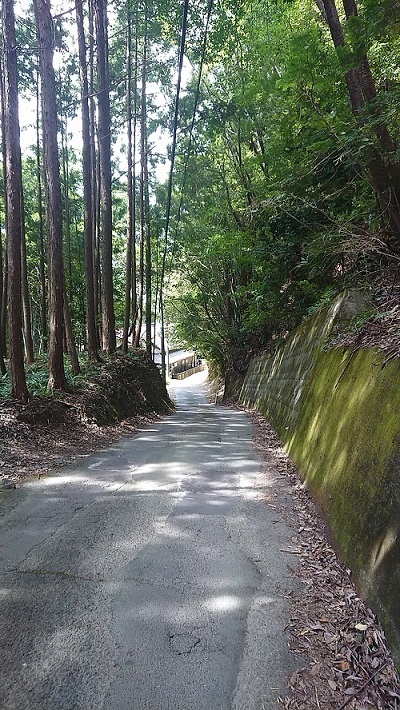 f:id:kakazan:20201018013350j:plain