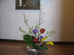 f:id:kakei580719:20120113183013j:image