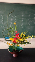 f:id:kakei580719:20141209120459j:image f:id:kakei580719:20141209120459j:image