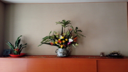 f:id:kakei580719:20150131104524j:image f:id:kakei580719:20150131104524j:image