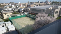 f:id:kakei580719:20170412152352j:image f:id:kakei580719:20170412152352j:image