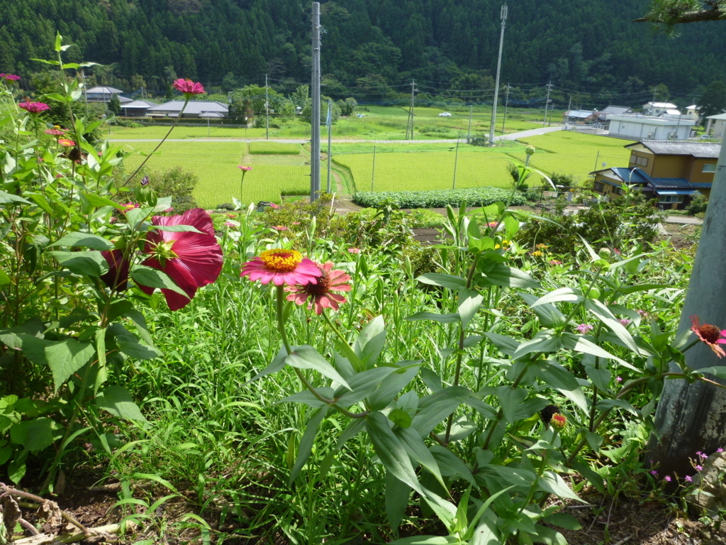 f:id:kakeru9:20180818122129j:plain f:id:kakeru9:20180818122129j:plain