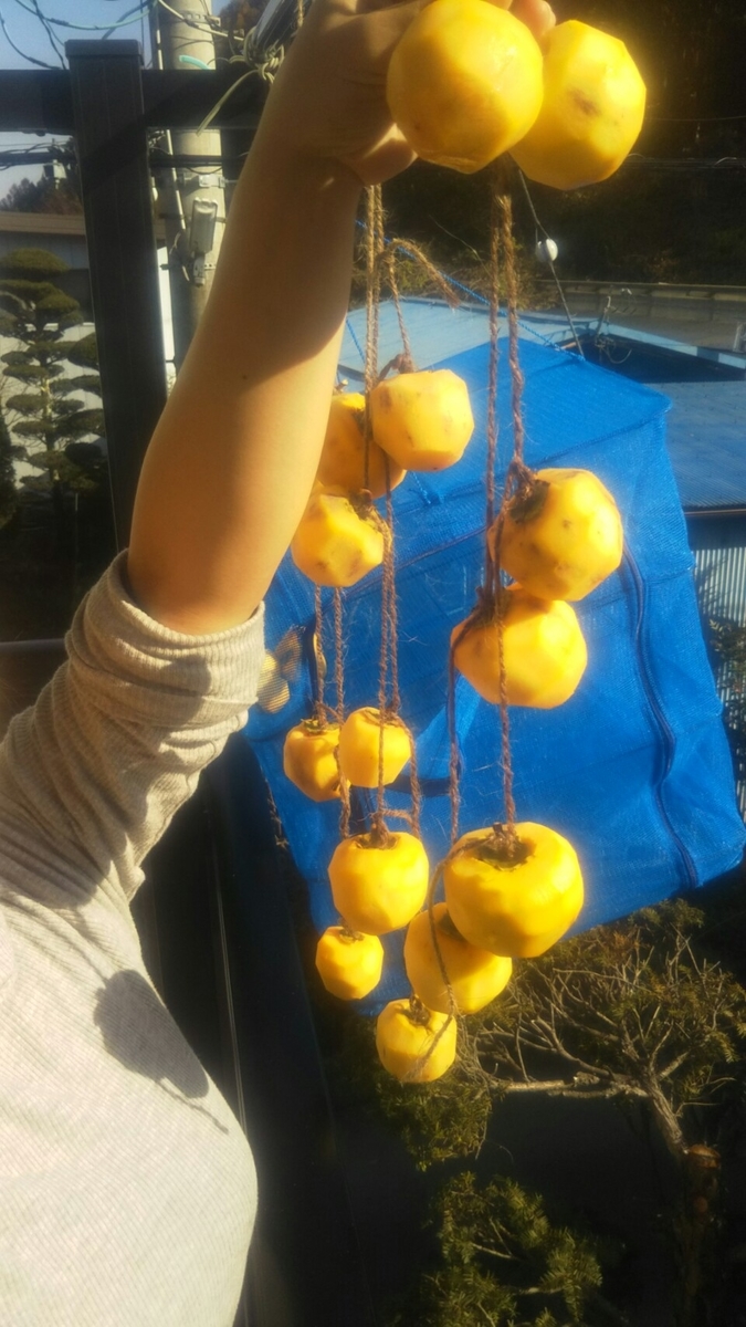 f:id:kakeyuonsen:20201111164402j:plain