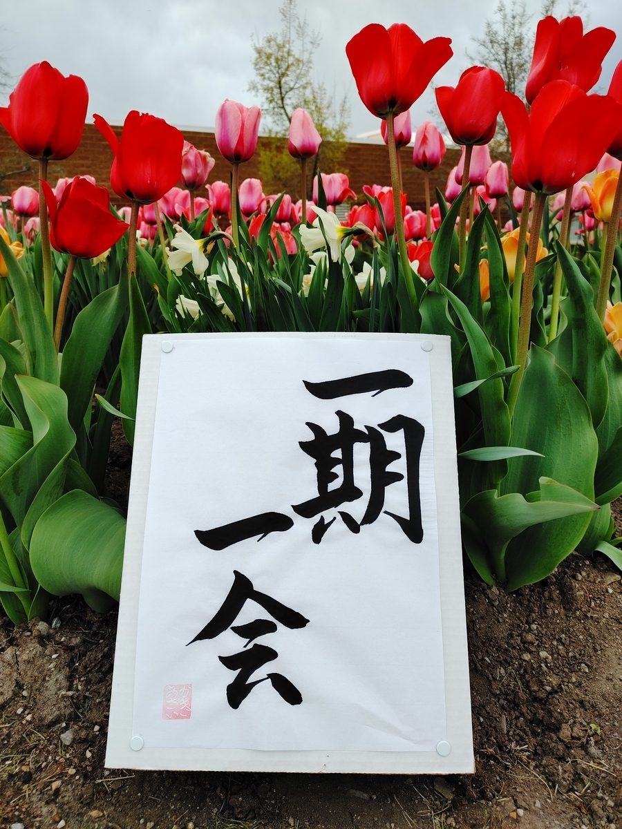 一期一会 言葉詩集 名言集 かきあさい オフィシャルブログ 言葉詩集 名言集