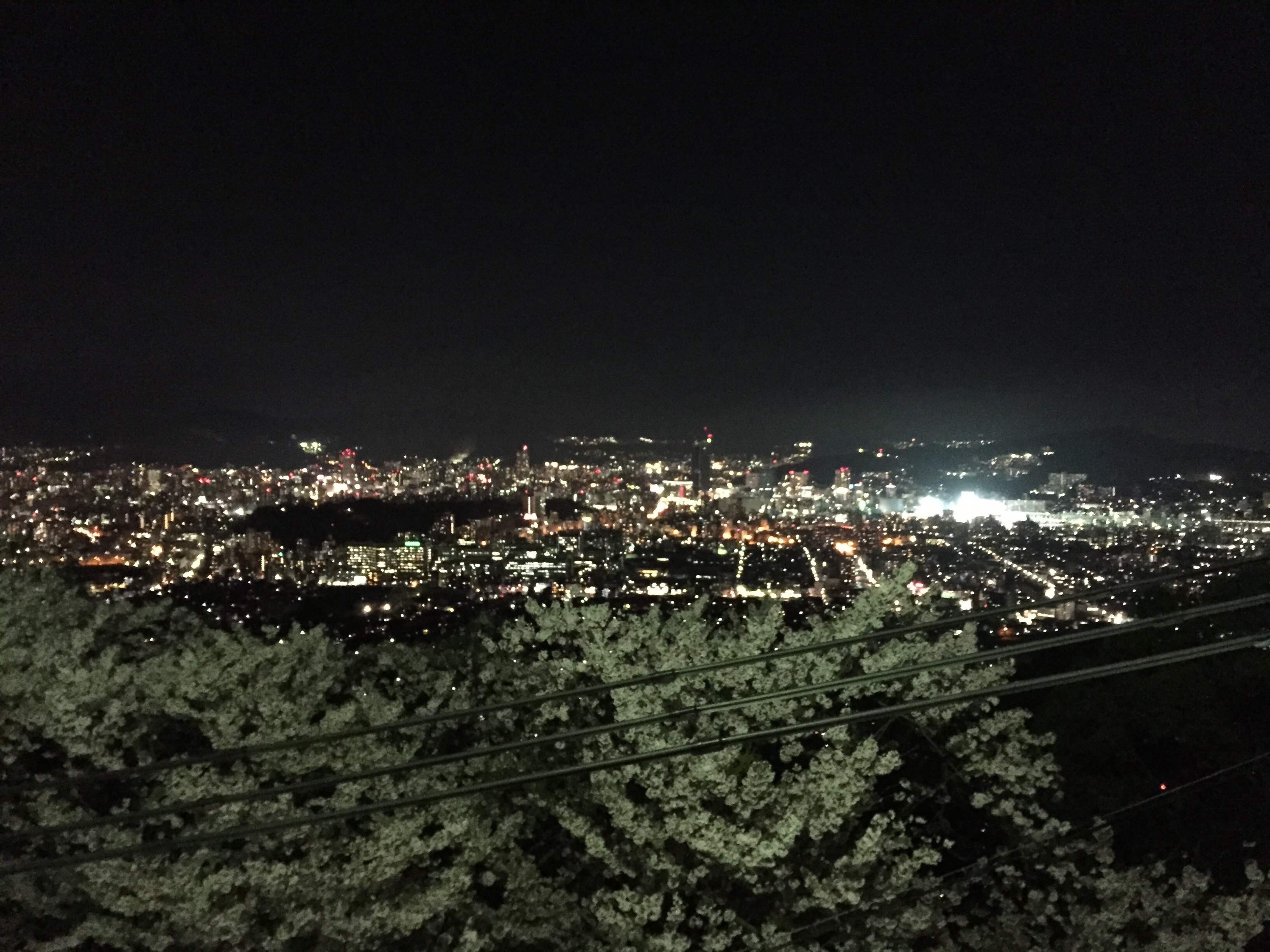 f:id:kakibayashi:20160406192119j:image f:id:kakibayashi:20160406192119j:image