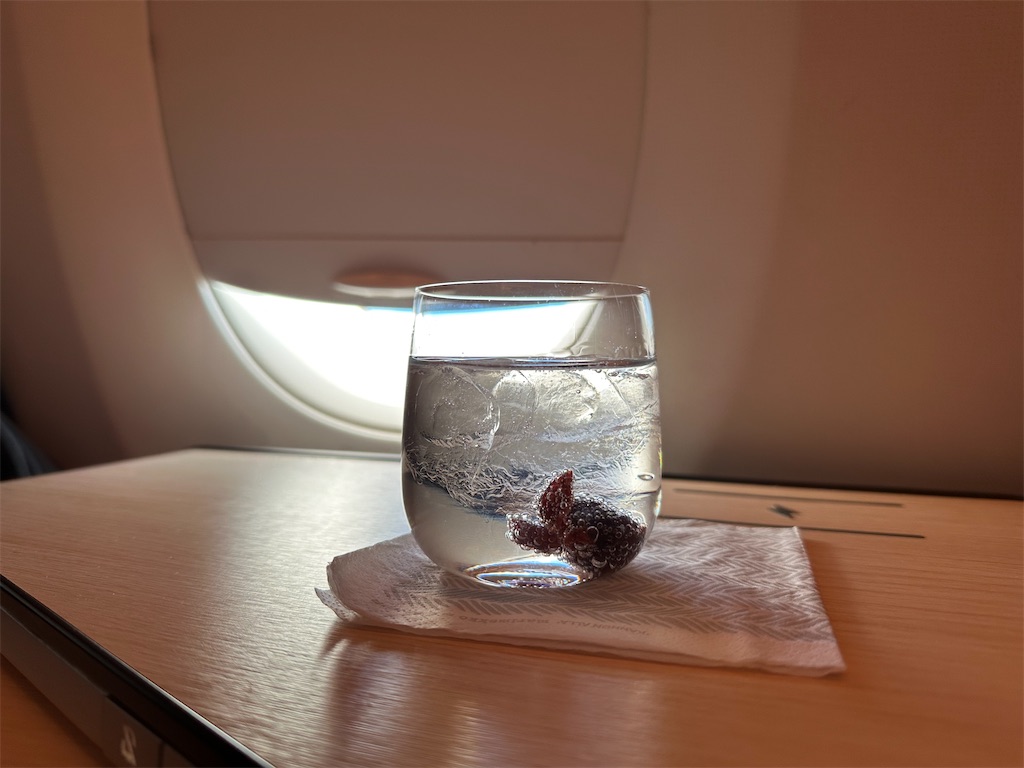 f:id:kakifly100m:20260525143434j:image f:id:kakifly100m:20260525143434j:image