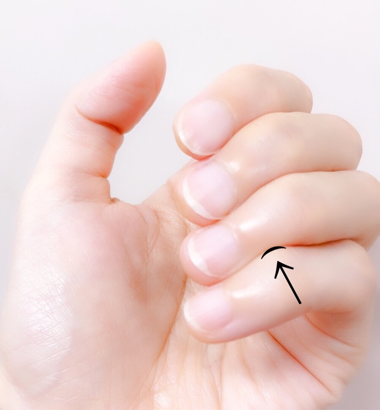 えびフライ日記 爪の上