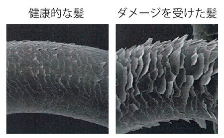 松脂のつけ方１ 東京･中野･練馬･江古田・ヴァイオリン･ヴィオラ・音楽教室