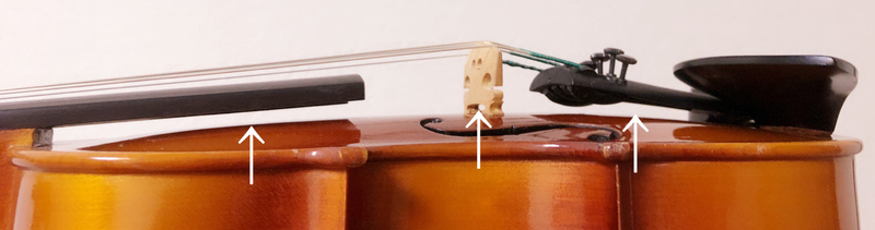 分数楽器のクリーニング1 東京・中野・練馬・江古田・ヴァイオリン・ヴィオラ・音楽教室 f:id:kakiflynikki:20200810124241j:plain