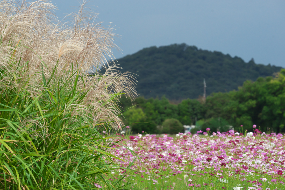 f:id:kakihate7788:20191008154800j:plain