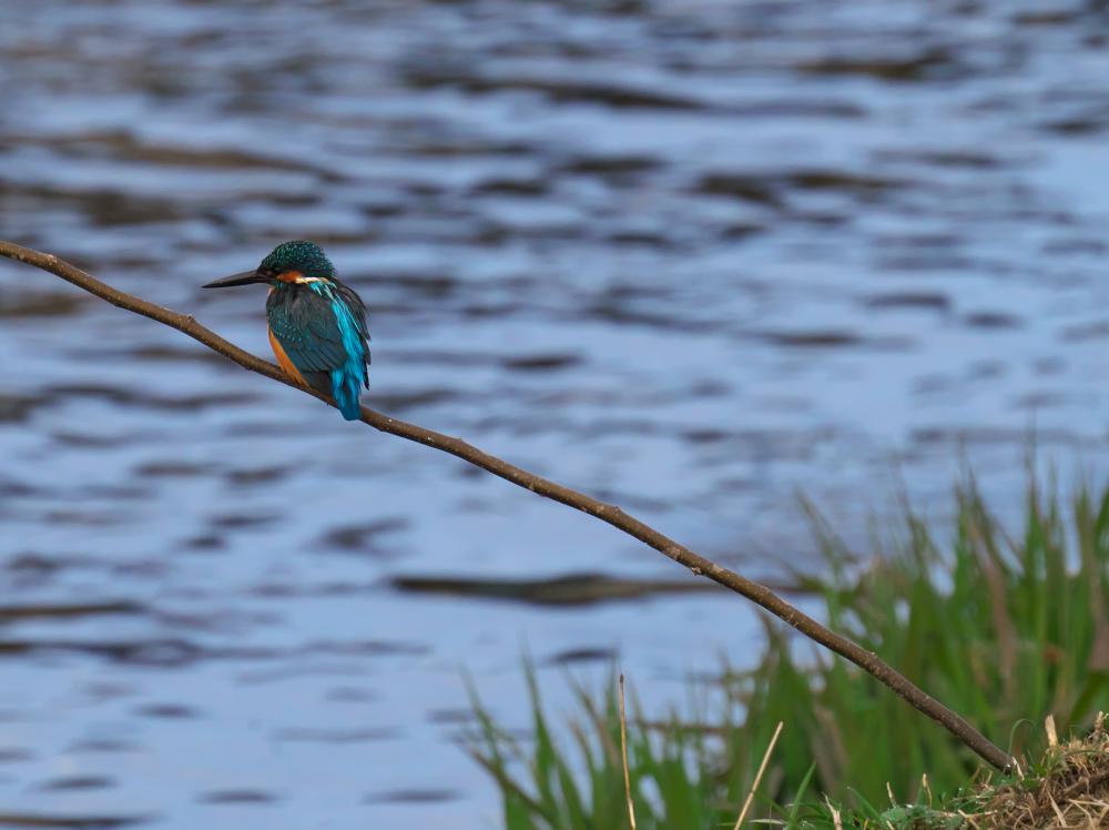 f:id:kakihate7788:20200119182758j:plain