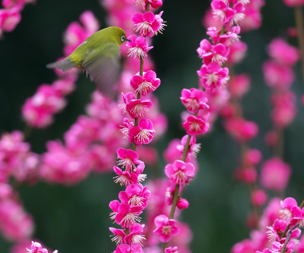 f:id:kakihate7788:20200216193434j:plain