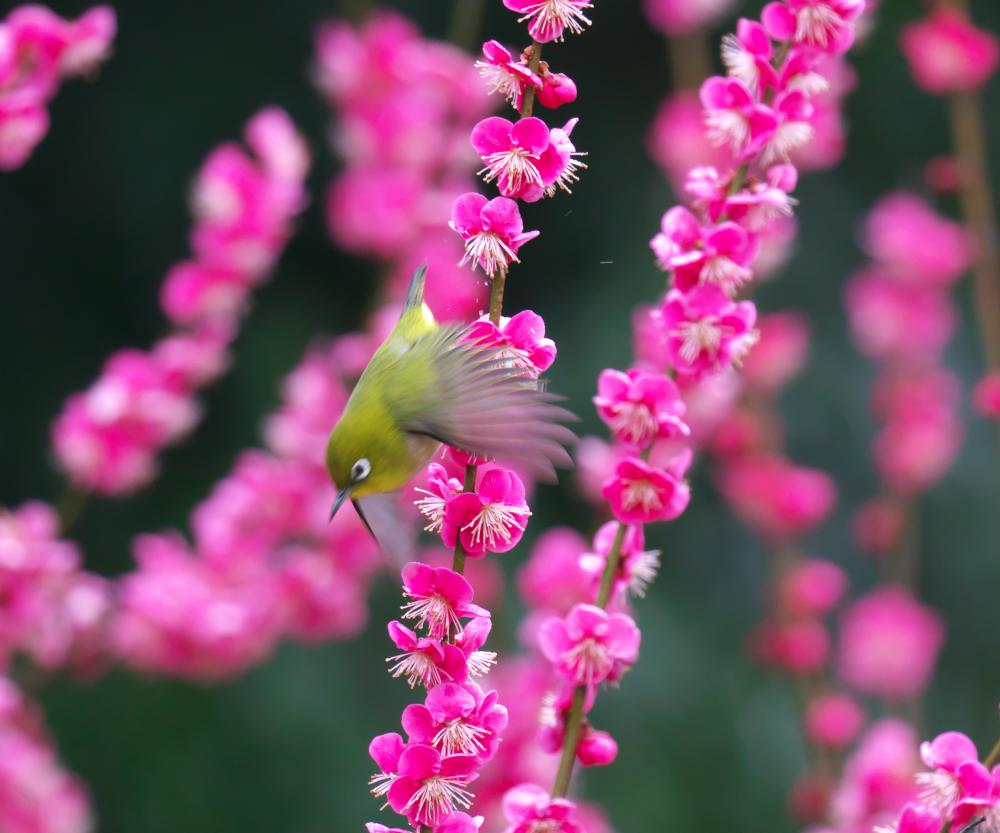 f:id:kakihate7788:20200216193611j:plain