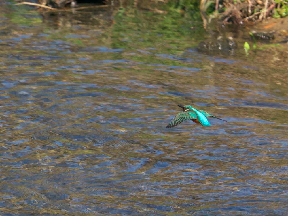 f:id:kakihate7788:20200217112916j:plain