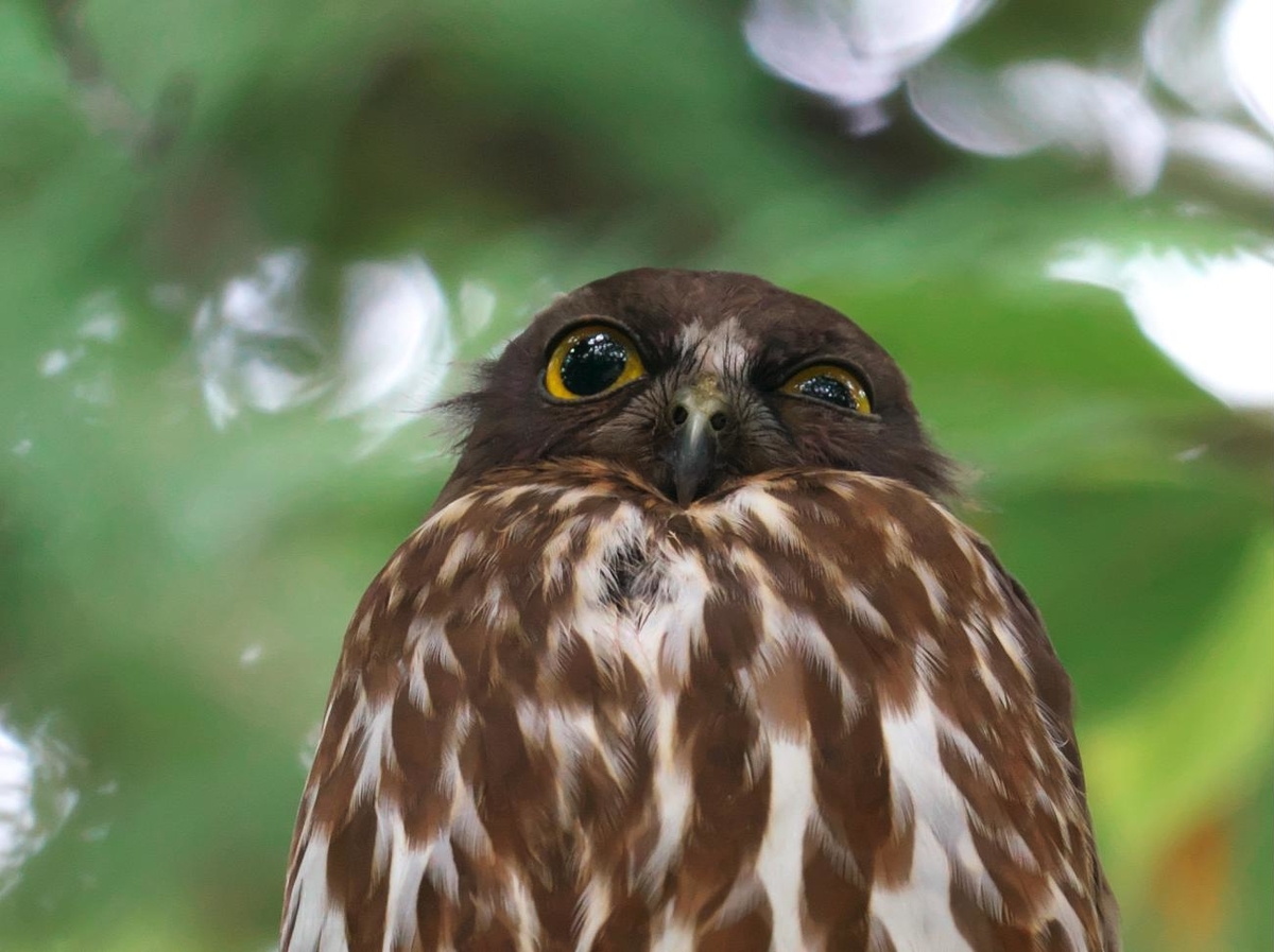 f:id:kakihate7788:20200712094914j:plain