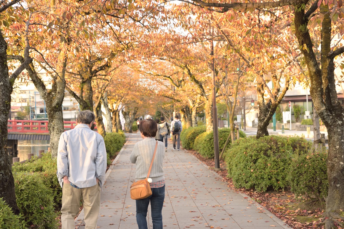 f:id:kakijiro:20171110105923j:plain f:id:kakijiro:20171110105923j:plain