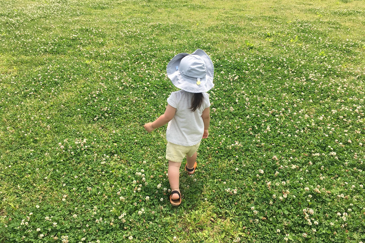 f:id:kakijiro:20180709101453j:plain