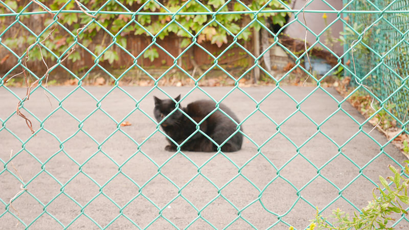 f:id:kakijiro:20181115202446j:plain