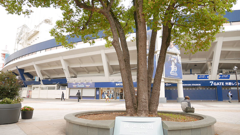 f:id:kakijiro:20181115203103j:plain