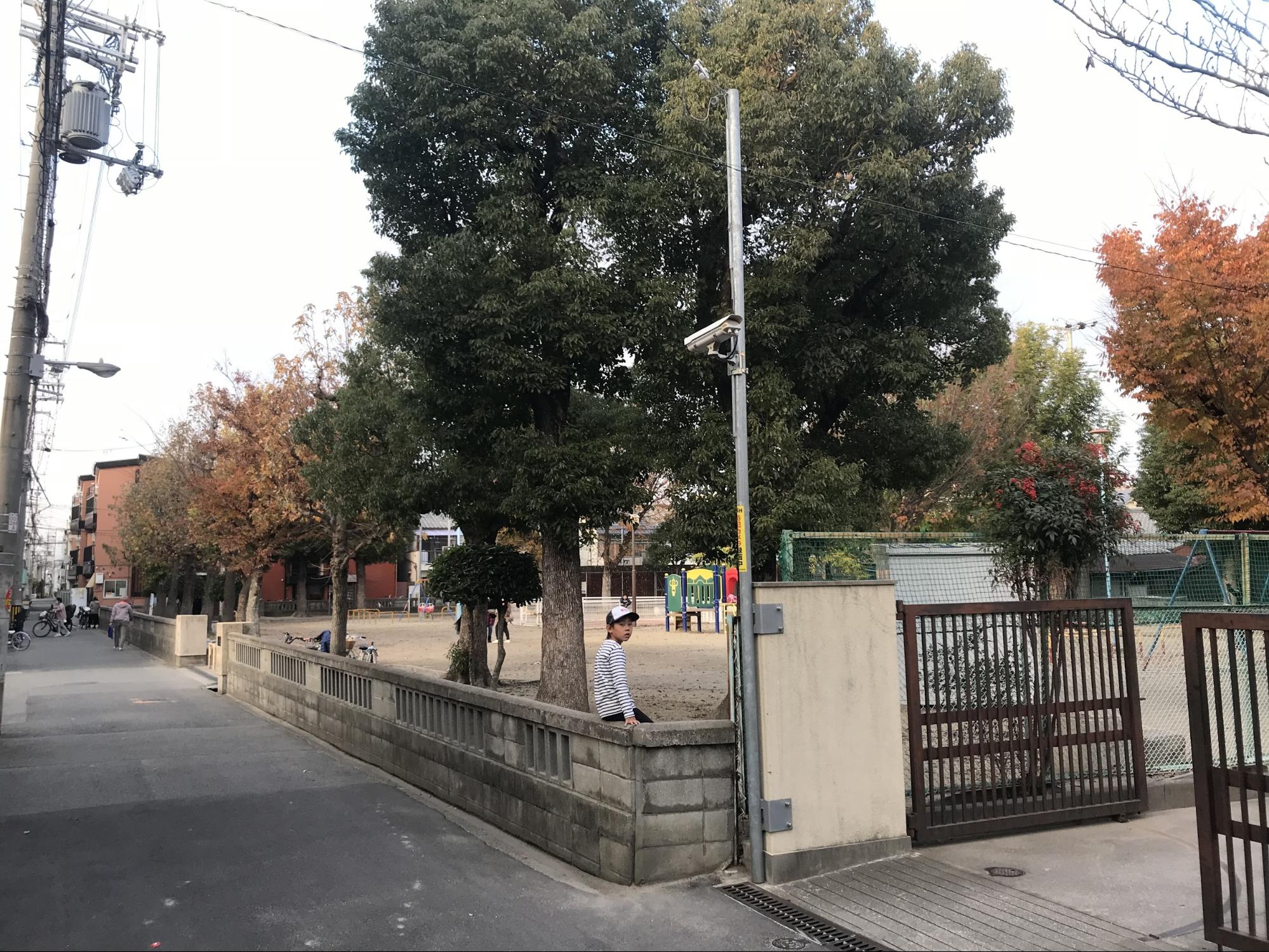 f:id:kakijiro:20190128083618j:plain f:id:kakijiro:20190128083618j:plain