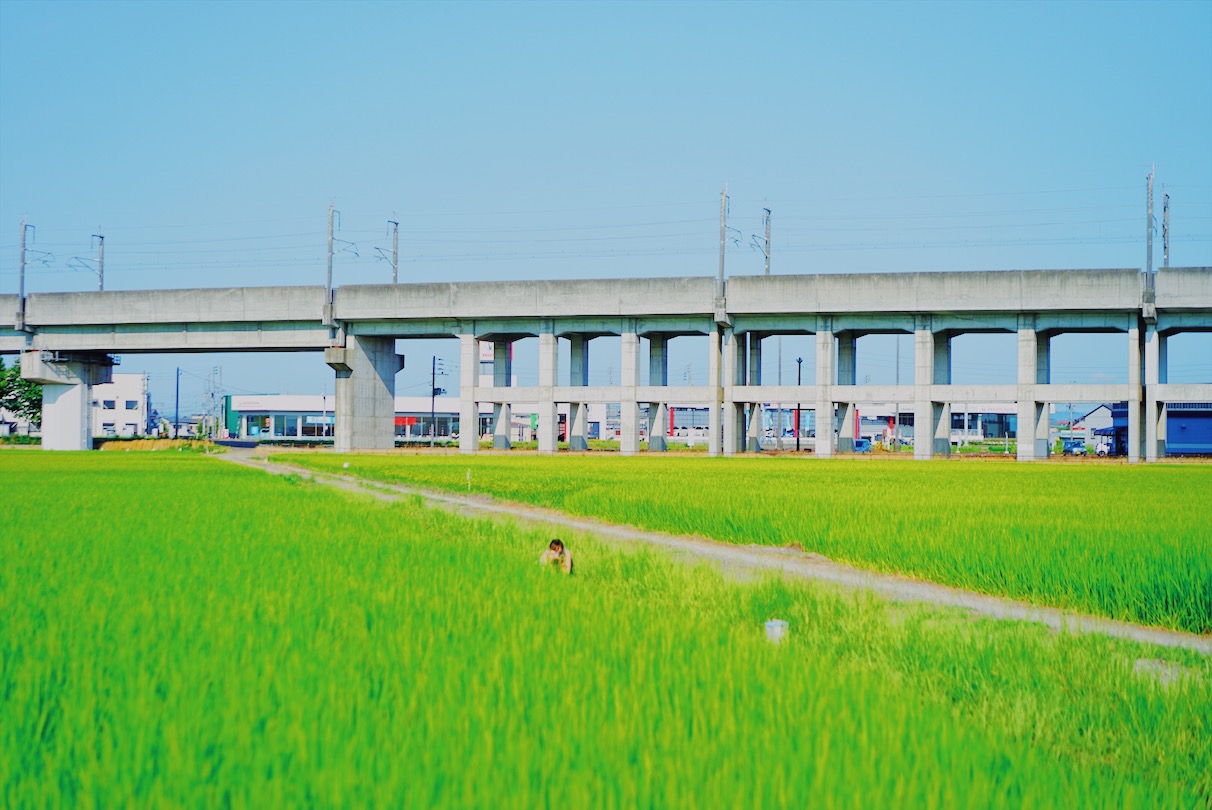 f:id:kakijiro:20190718235224j:plain f:id:kakijiro:20190718235224j:plain