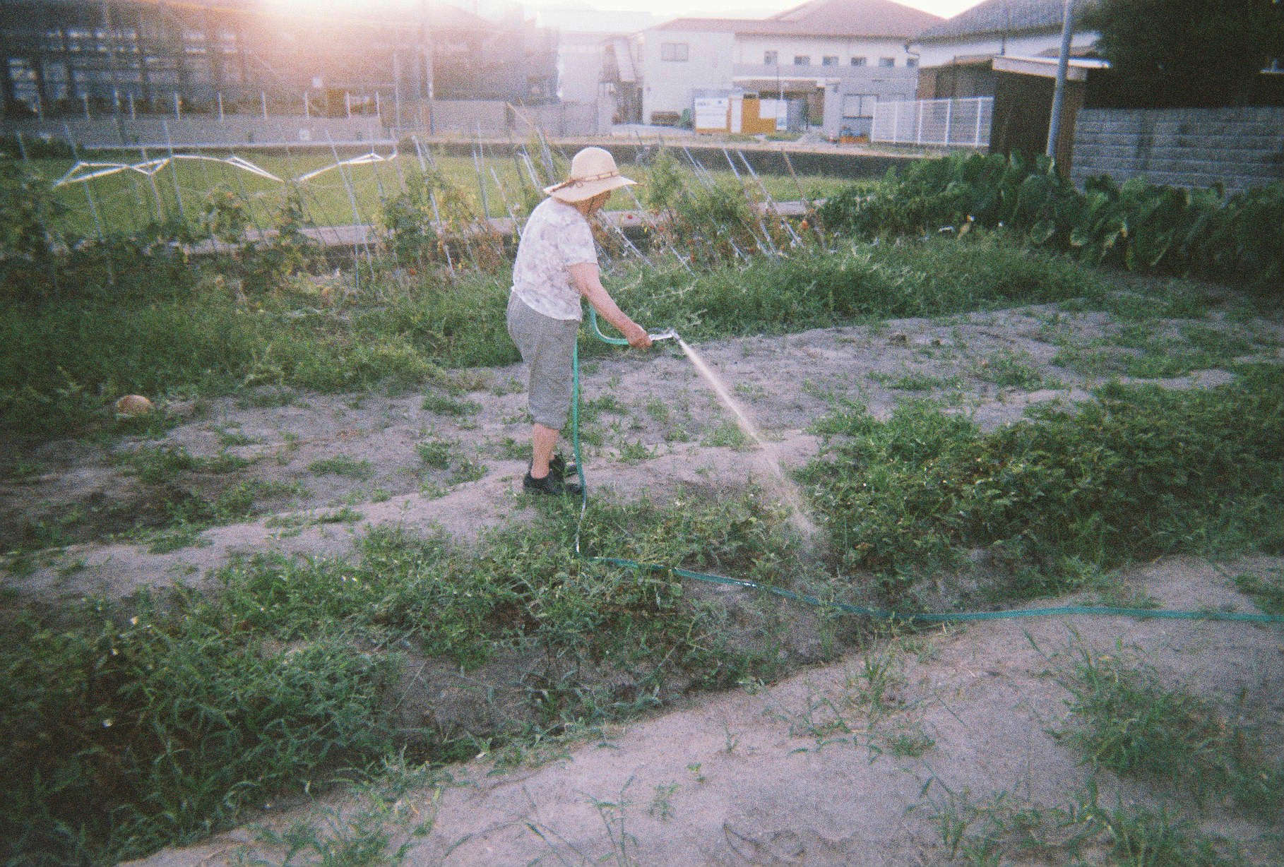 f:id:kakijiro:20190906152636j:plain