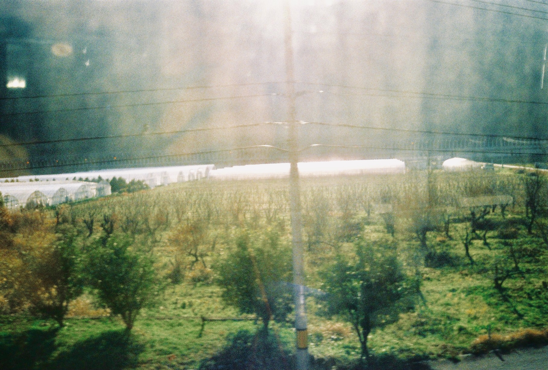 f:id:kakijiro:20190918094117j:plain