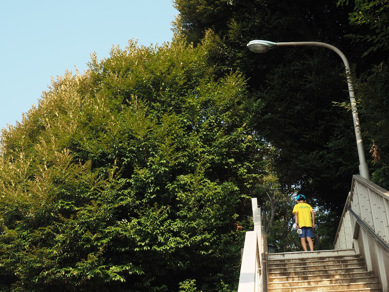 f:id:kakijiro:20191122201038j:plain