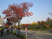 f:id:kakikakimom:20101111013943j:image