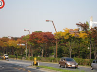 f:id:kakikakimom:20101111013944j:image