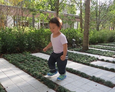 f:id:kakikakimom:20141103142616j:image