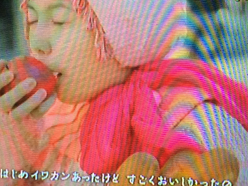 f:id:kakimototimes:20180220233156j:plain