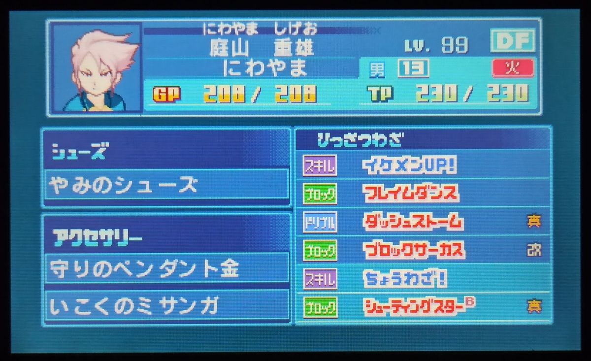 f:id:kakinokakki:20210403204250j:plain