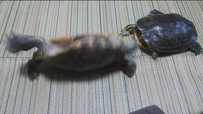f:id:kakinori:20150329172352j:image:w360
