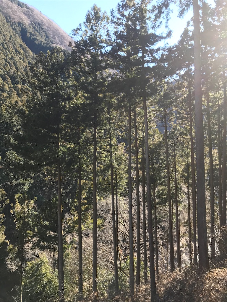f:id:kakka2-5:20190127204726j:image