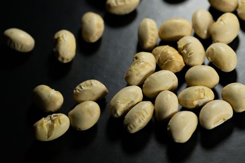 f:id:kakka2480:20200818114146j:plain