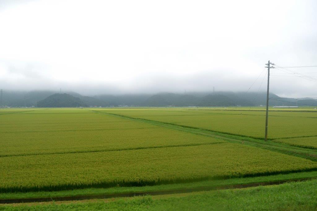 f:id:kakkunn1031:20190821213409j:plain