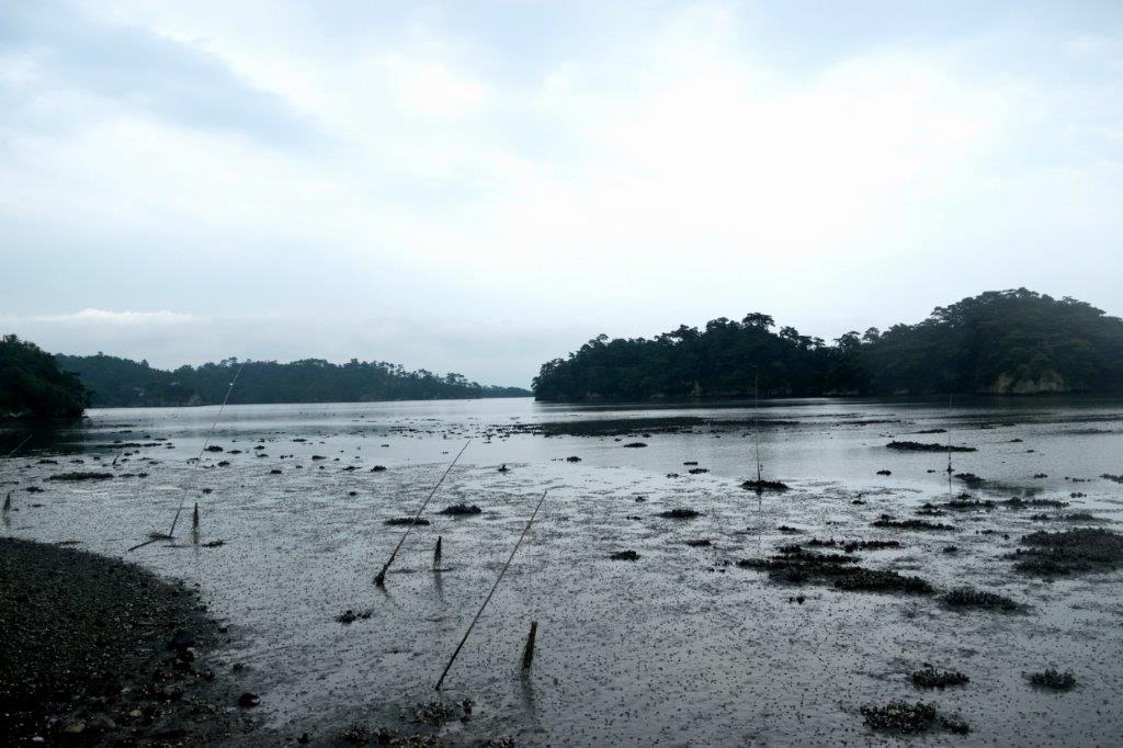 f:id:kakkunn1031:20190821213521j:plain