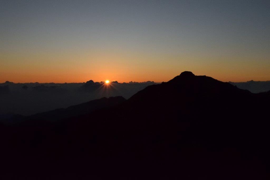 f:id:kakkunn1031:20191114151434j:plain