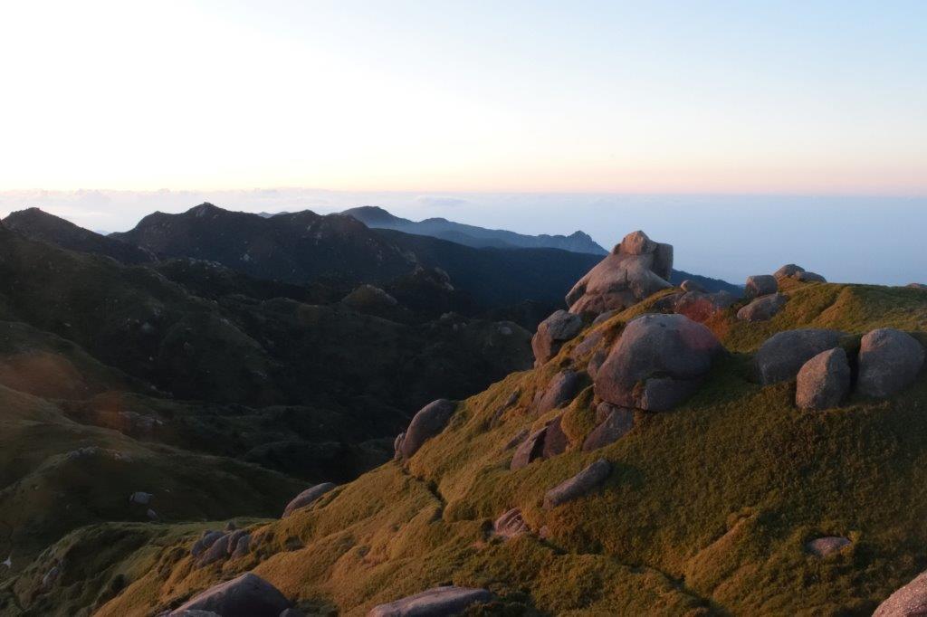 f:id:kakkunn1031:20191114151448j:plain
