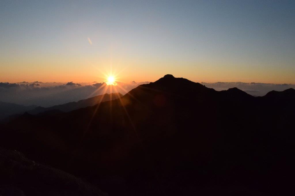 f:id:kakkunn1031:20191114151456j:plain