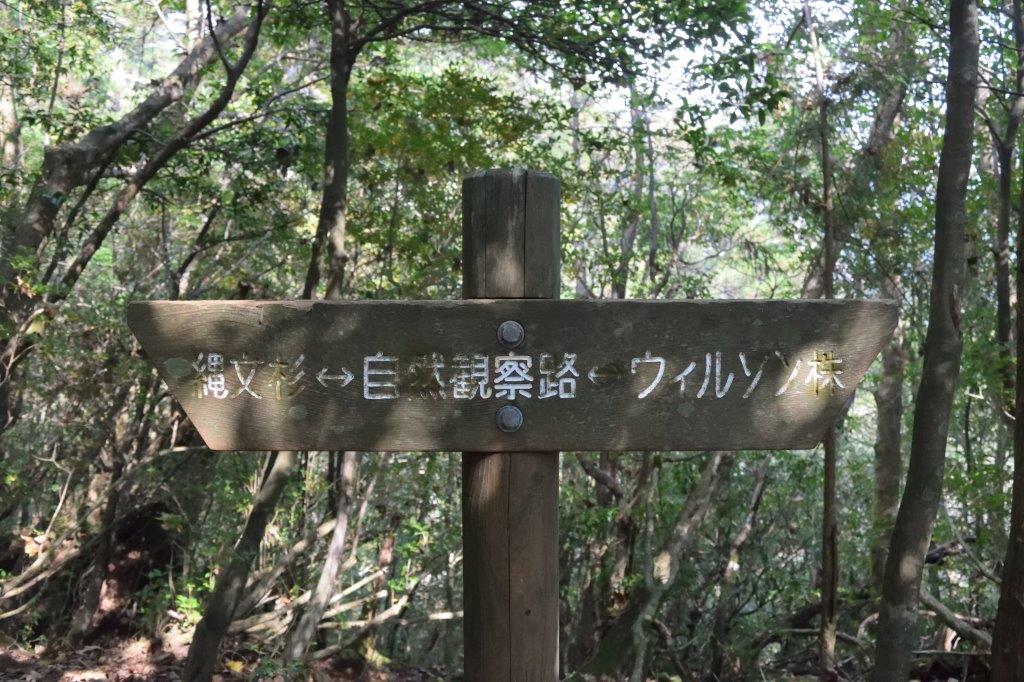 f:id:kakkunn1031:20191114151831j:plain