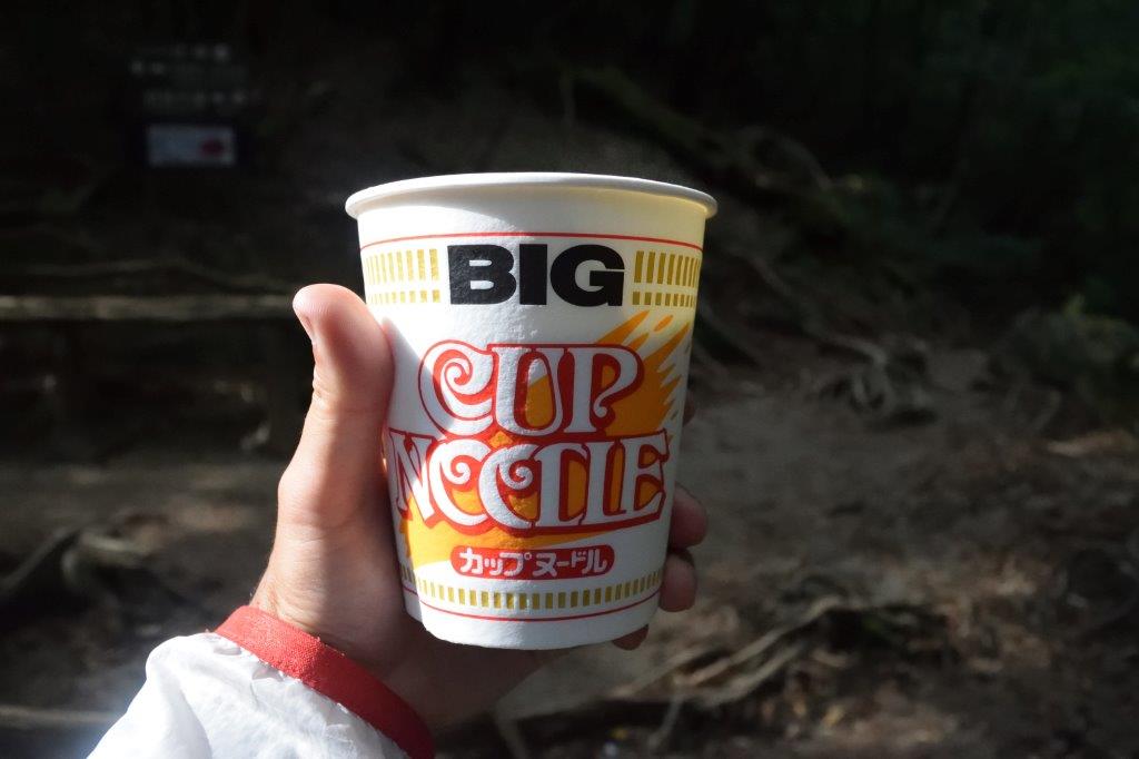 f:id:kakkunn1031:20191114151956j:plain