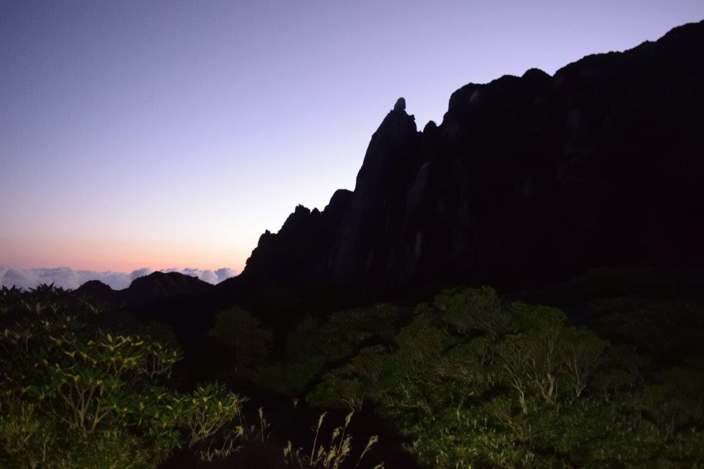 f:id:kakkunn1031:20191114165940j:plain