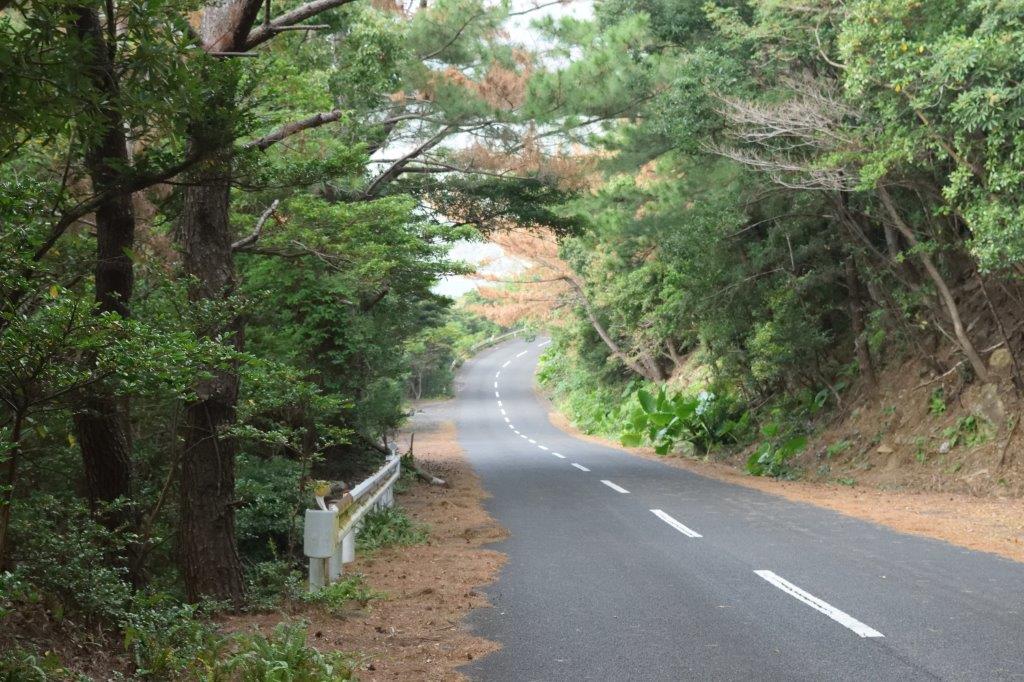 f:id:kakkunn1031:20191114225322j:plain