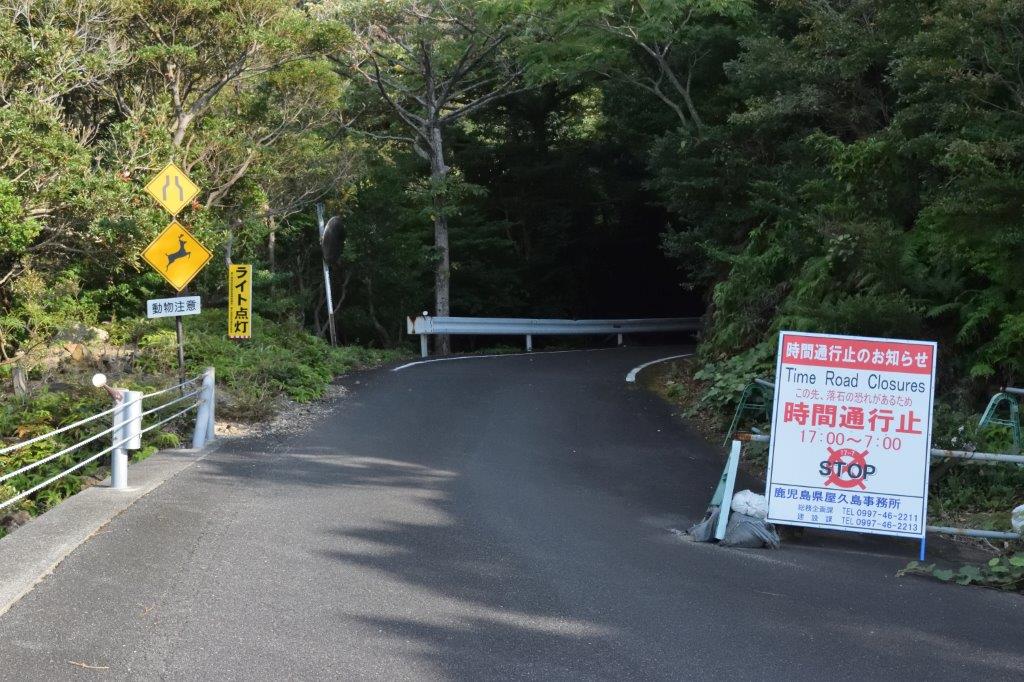 f:id:kakkunn1031:20191114225545j:plain