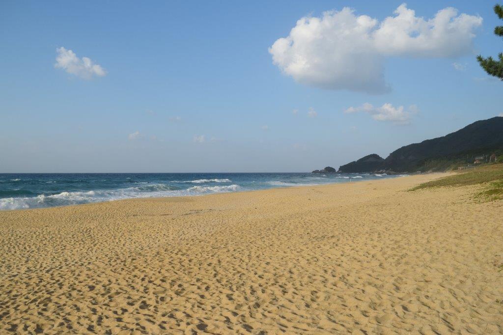 f:id:kakkunn1031:20191114225818j:plain