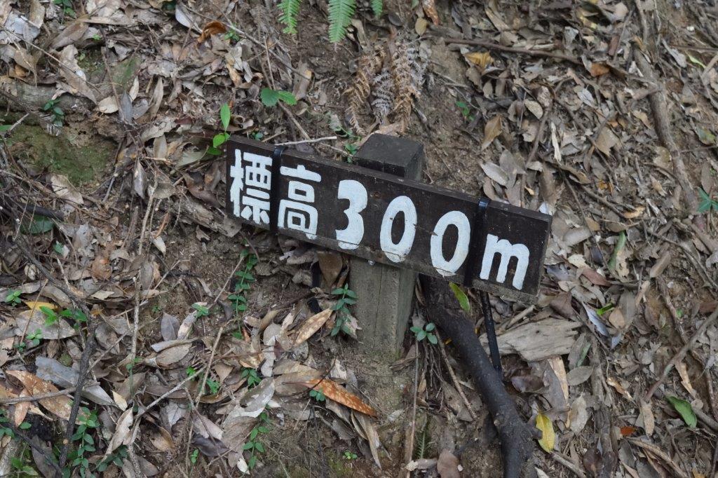 f:id:kakkunn1031:20191115014449j:plain
